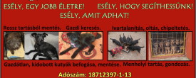 1 % = Esély egy jobb életre! Esély, hogy segíthessünk! Esély, amit adhat!