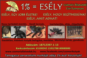 Adó 1% plakát