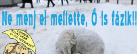 Ha gazdátlan állatot látunk, ne hagyjuk magára!