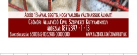 Adó 1% – letéphető nyomtatvány