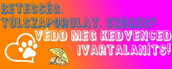 Tudja, hogy miért fontos az ivartalanítás?