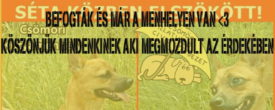 MEGTALÁLTÁK :)