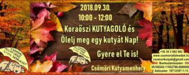 Koraőszi KUTYAGOLÓ és Ölelj meg egy kutyát nap! 09.30.