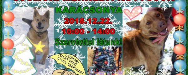 🎄Csömöri Menhelyi Kutyusok Karácsonya 🎄 – December 22.
